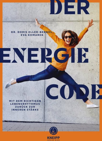 Buch Der Energiecode
